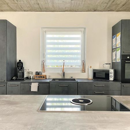 Ferienwohnung Hegau Bodensee Rielasingen-Worblingen エクステリア 写真