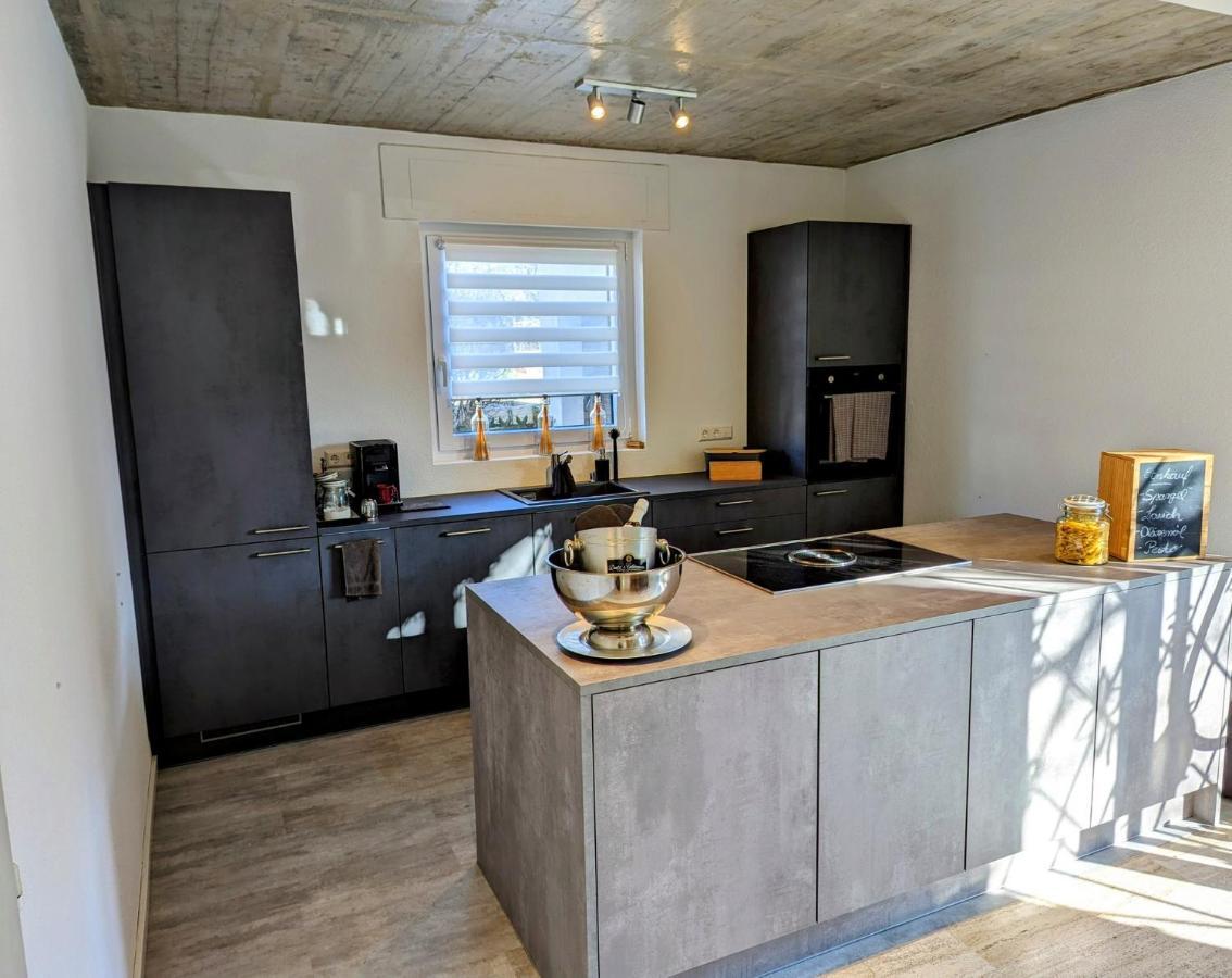 Ferienwohnung Hegau Bodensee Rielasingen-Worblingen エクステリア 写真
