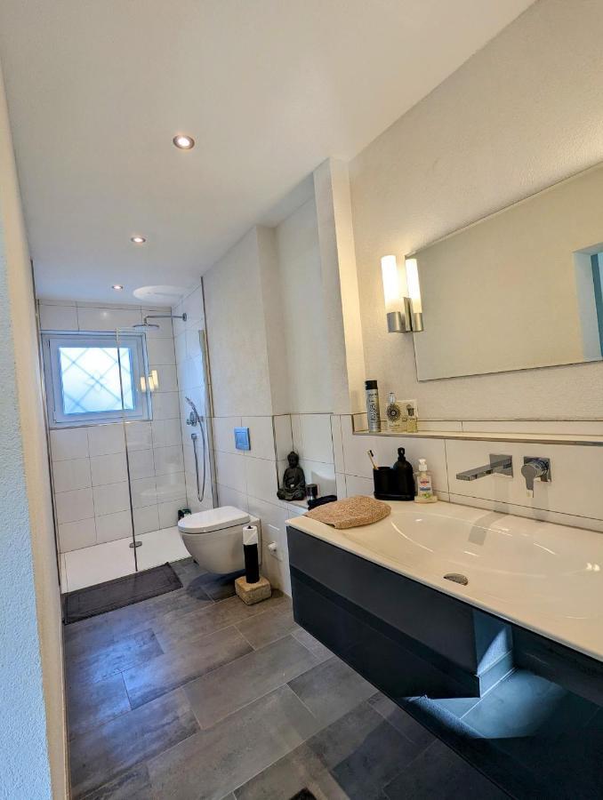 Ferienwohnung Hegau Bodensee Rielasingen-Worblingen エクステリア 写真