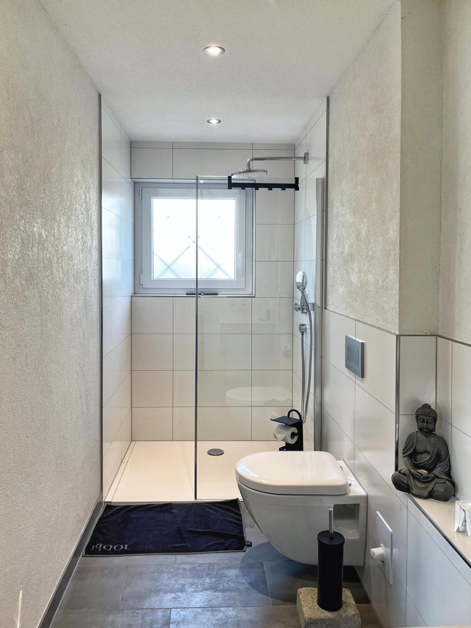 Ferienwohnung Hegau Bodensee Rielasingen-Worblingen エクステリア 写真